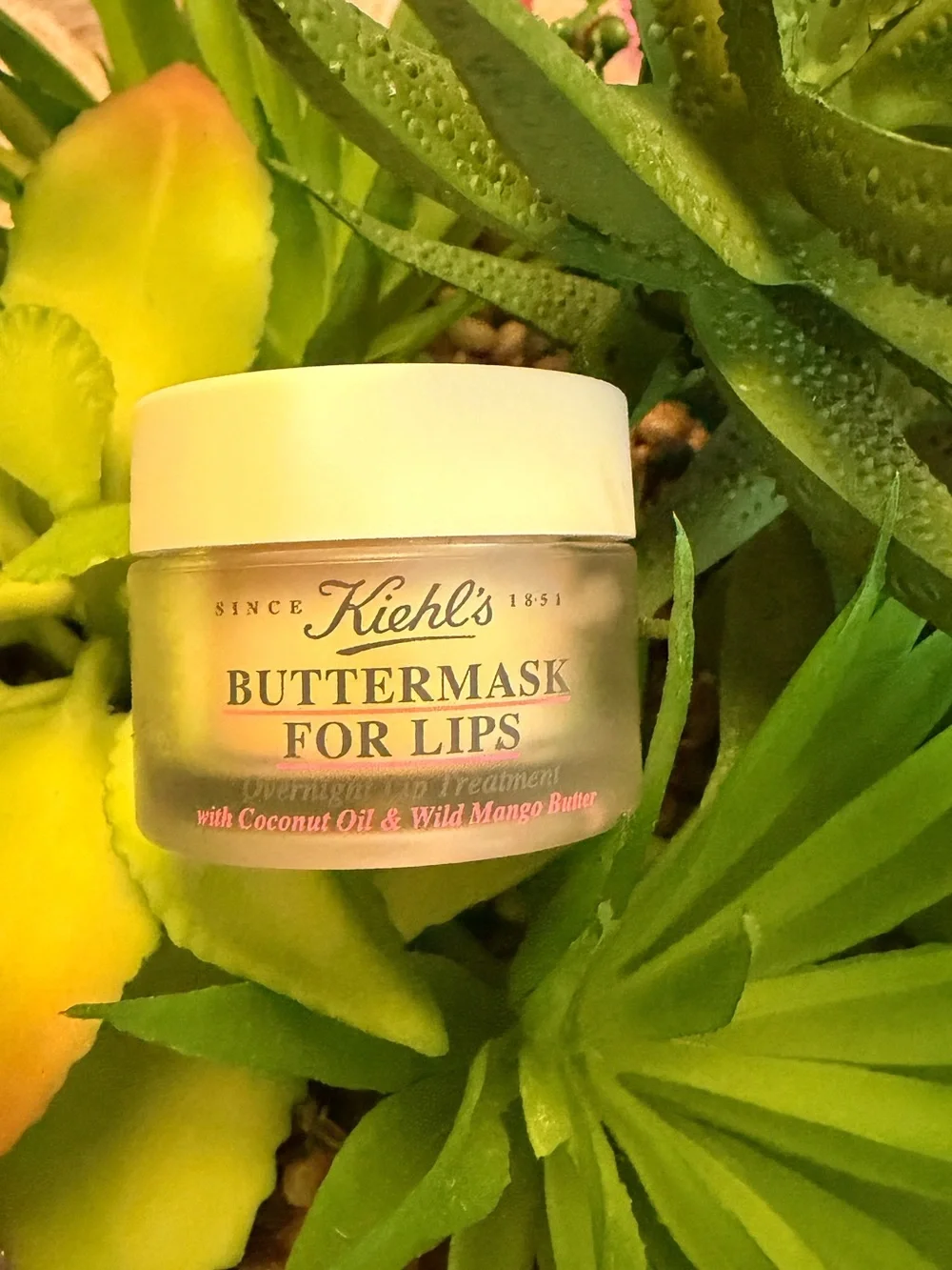Kiehl's Buttermask-overnight lips treatment-with Coconut Oil & Wild Mango Butter